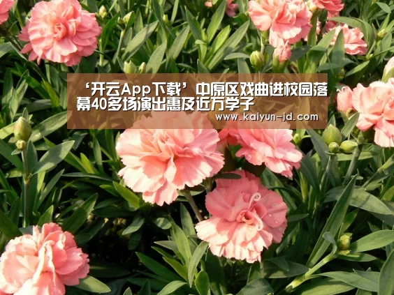 开云App下载